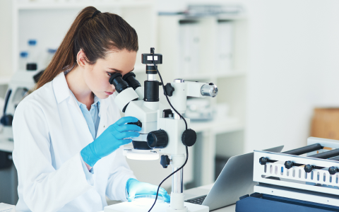 Программа «Диагностика анемий»